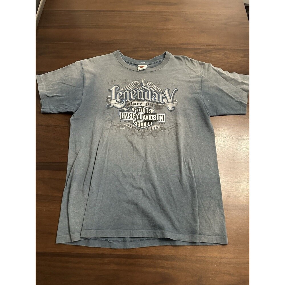 Harley-Davidson Eagle Wings & Flames T-shirt Size L Blue/Gray Graphic Te